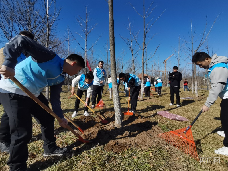 抚育树木近1.5万株 石景山开展中国植树节绿地大扫除活动
