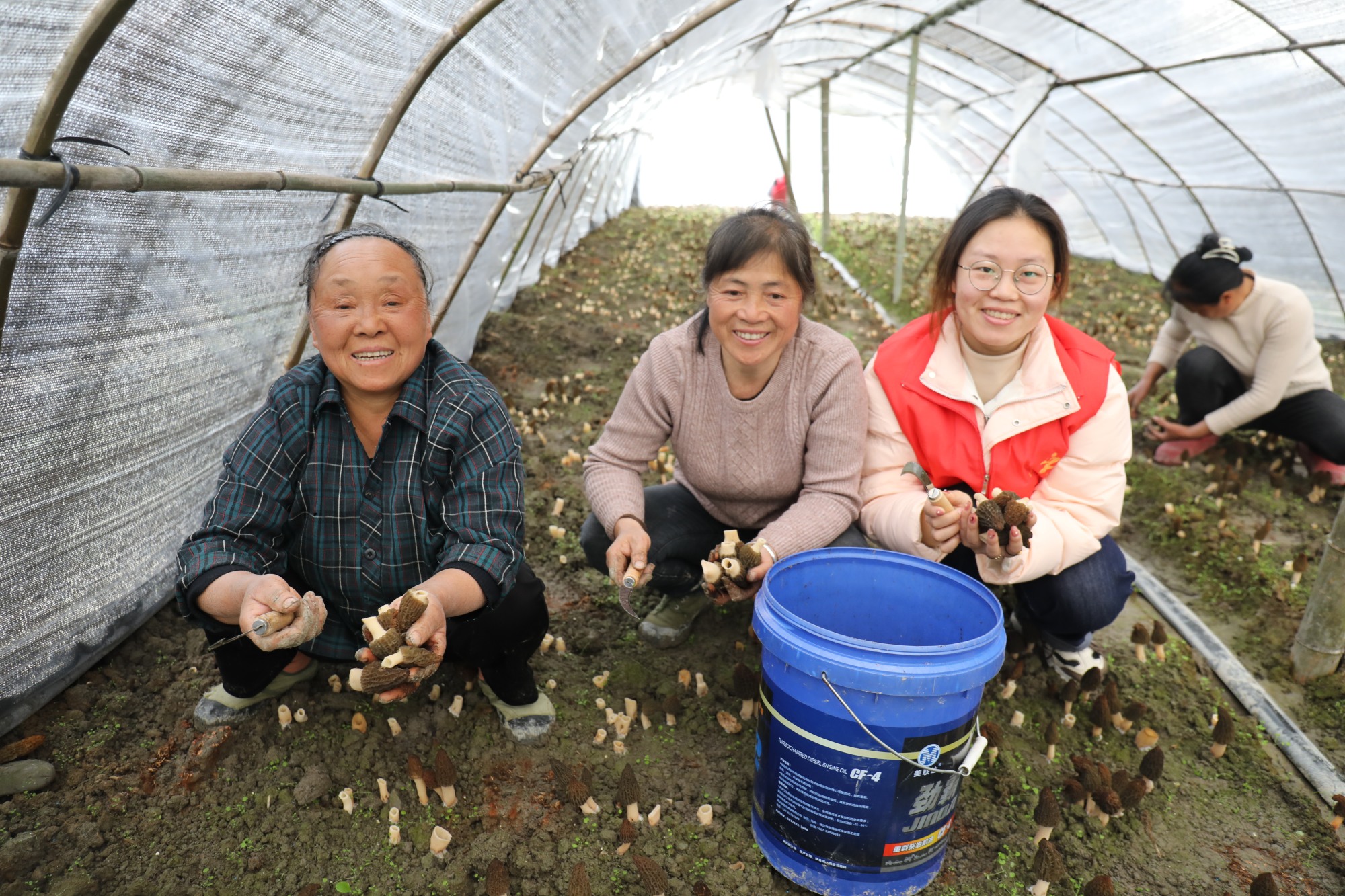 贵州镇远志愿助农春收忙