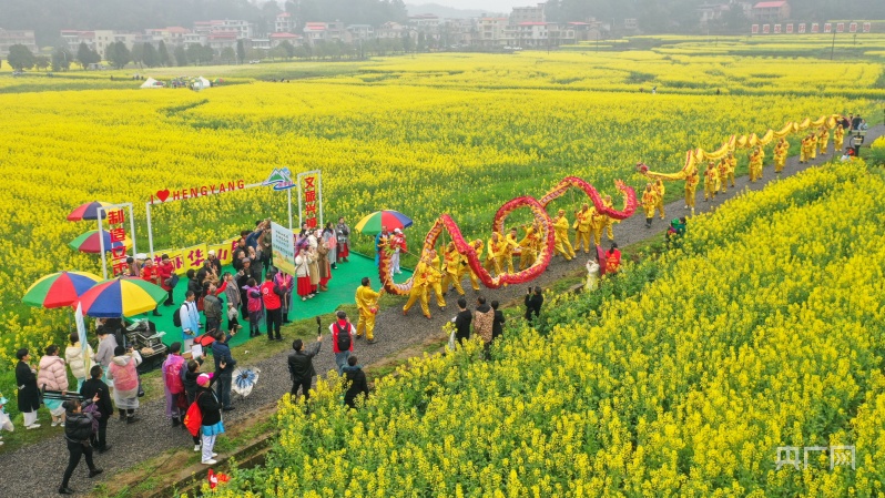 湖南:花如海人如潮,衡阳县"油菜花节"开幕