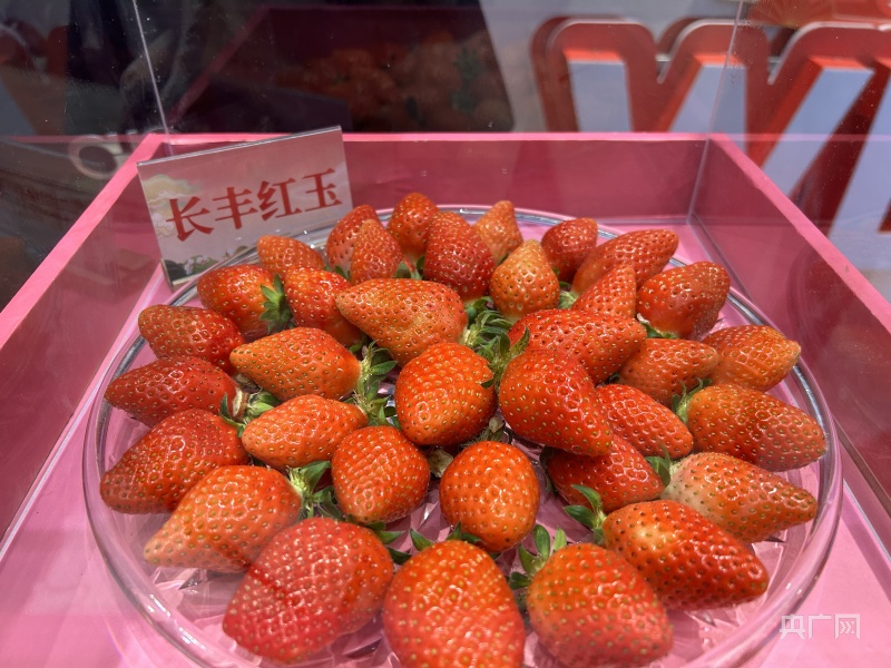 小草莓成就百亿大品牌  第二十一届长丰草莓文化旅游节开幕
