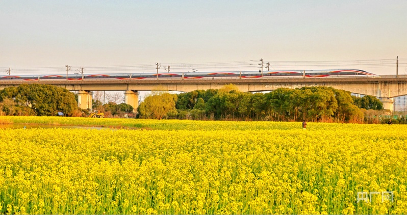 长三角铁路2024年春游运输方案出台