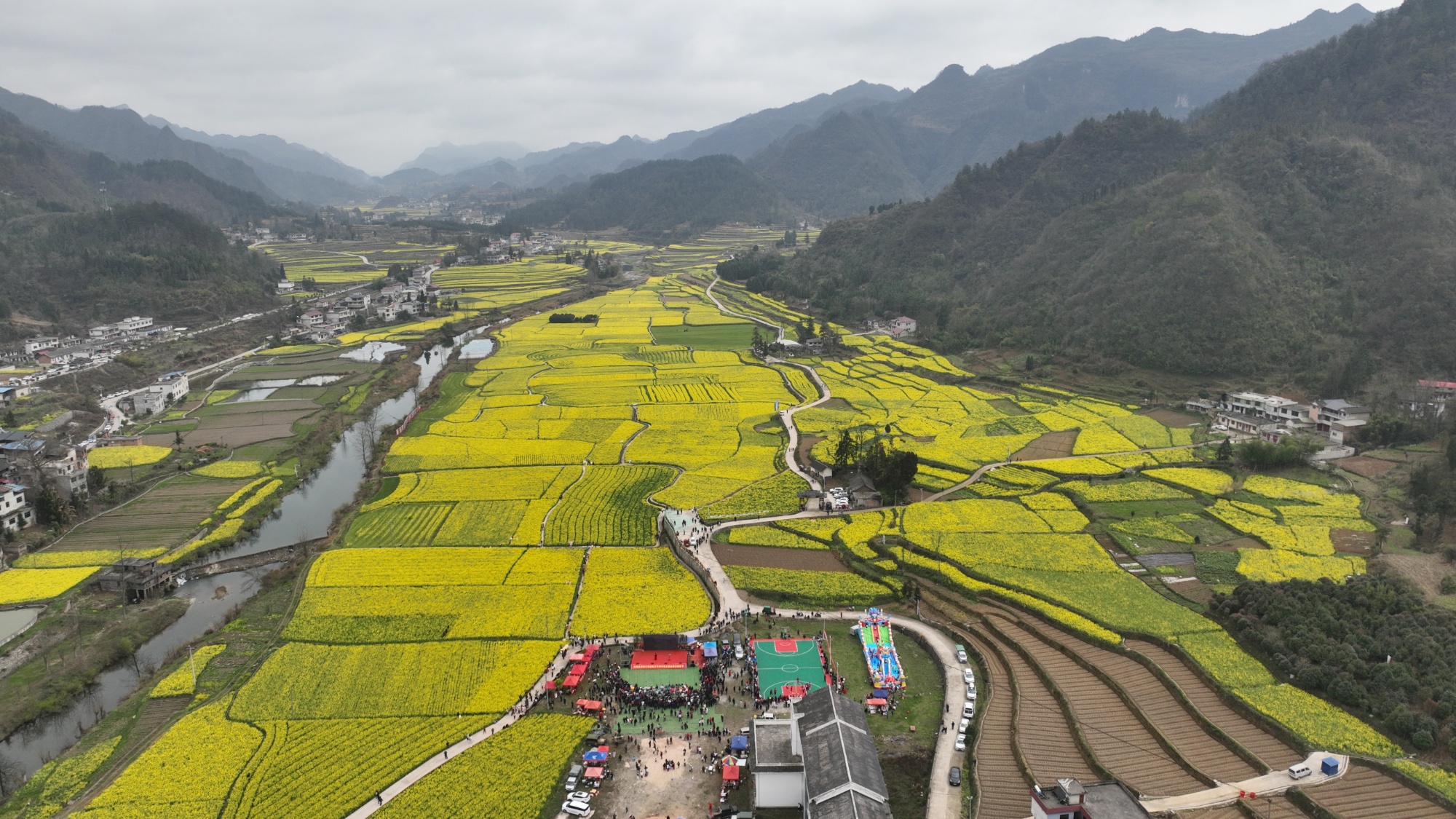 贵州麻江:油菜花竞相开放 游客乐享美好春光