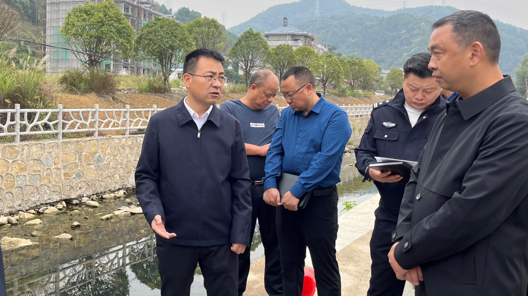 中方县委书记张家铣现场调度茅利溪上游溪水污染治理工作(雷青华  摄)