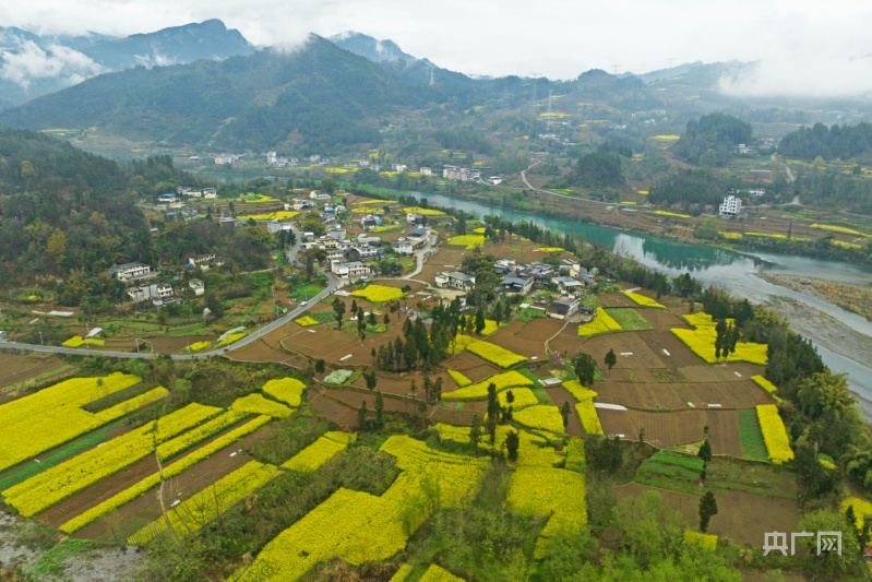 摄)在乌江重庆市彭水苗族土家族自治县鹿角镇段,乌江游船与岸边桃花