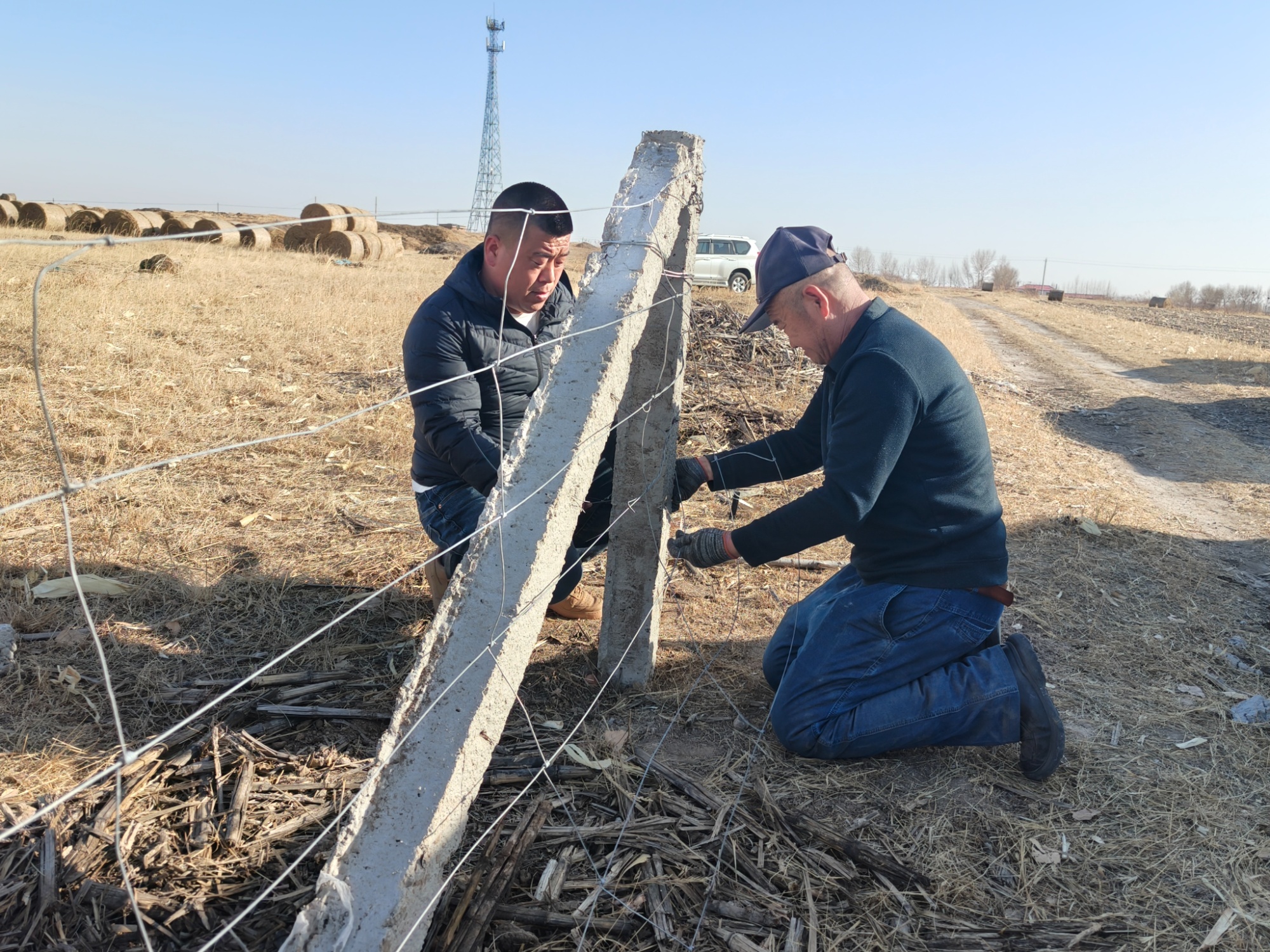 构筑绿色生态屏障突泉县全面打响科尔沁沙地歼灭战