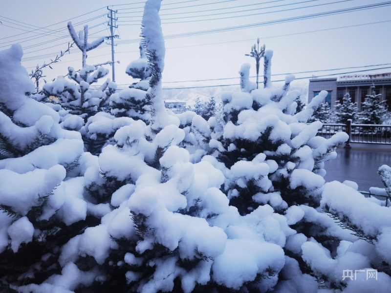 青海23日至24日大部中到大雪局地暴雪