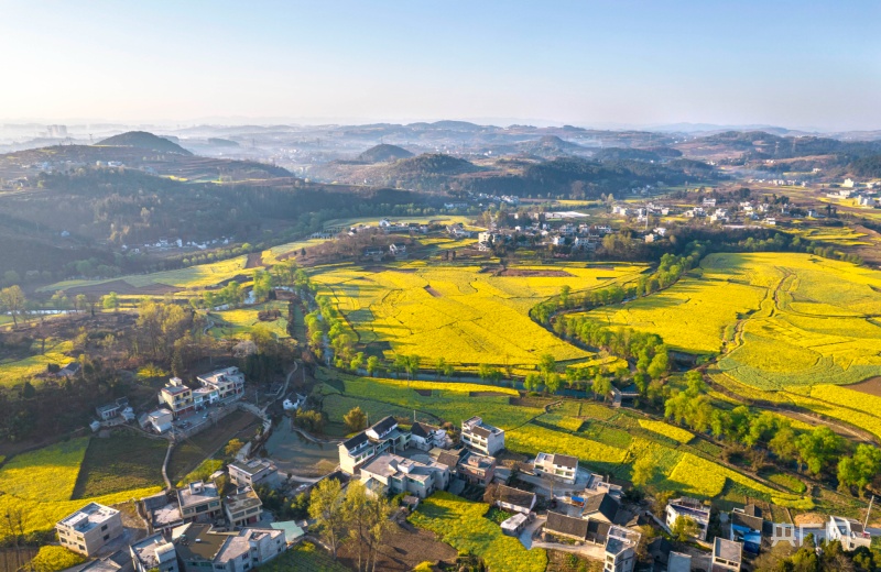 贵州黔西油菜花海美如画醉享春日好风光