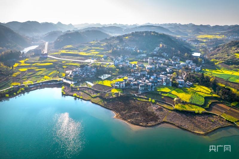 贵州黔西油菜花海美如画醉享春日好风光