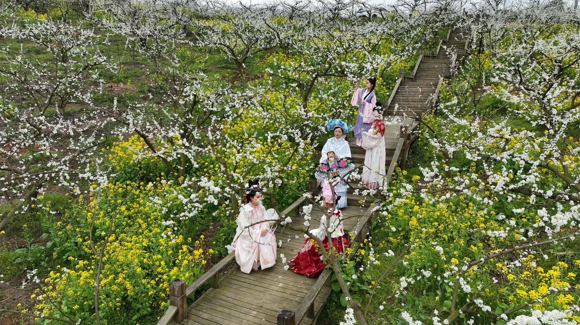 “春风十里·相约有你”——贵州镇远古城第二届“花语节”开幕(图8)