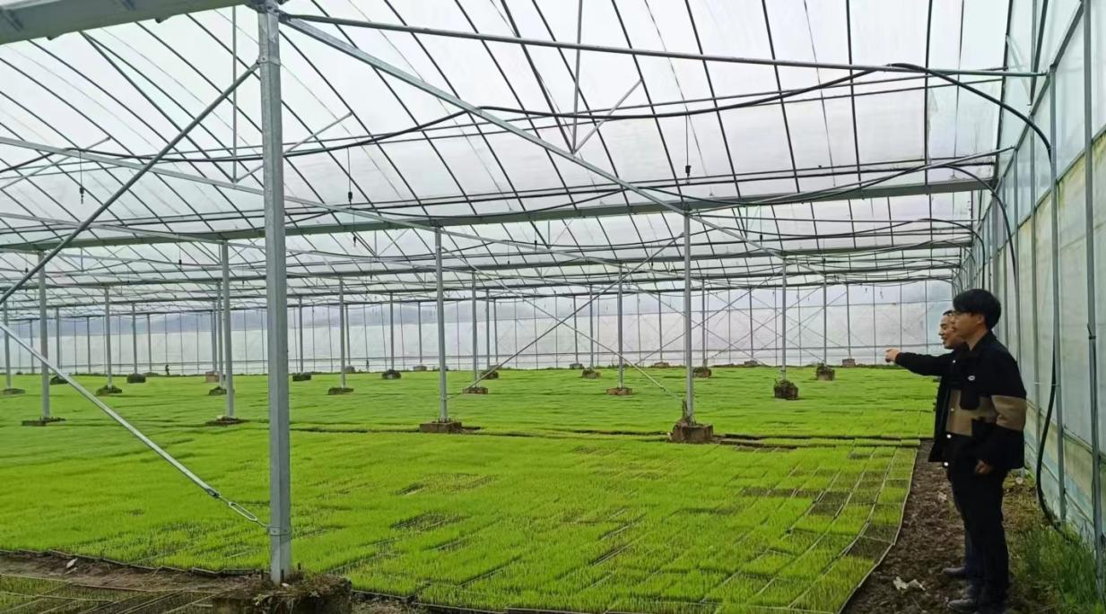 湖南武冈三项监督打好春耕备耕主动仗