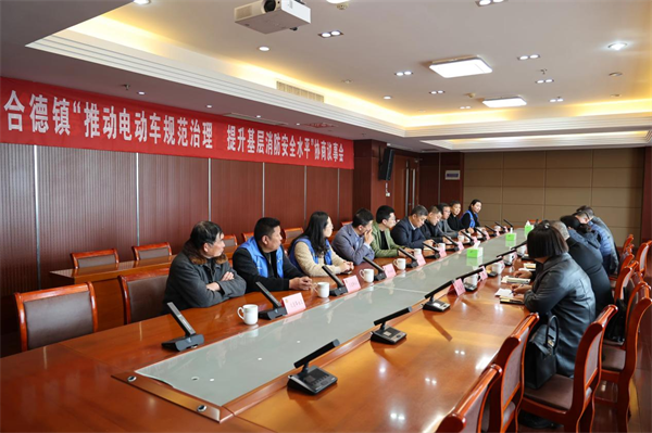 江苏射阳合德镇政协委员调研我身边的风险隐患