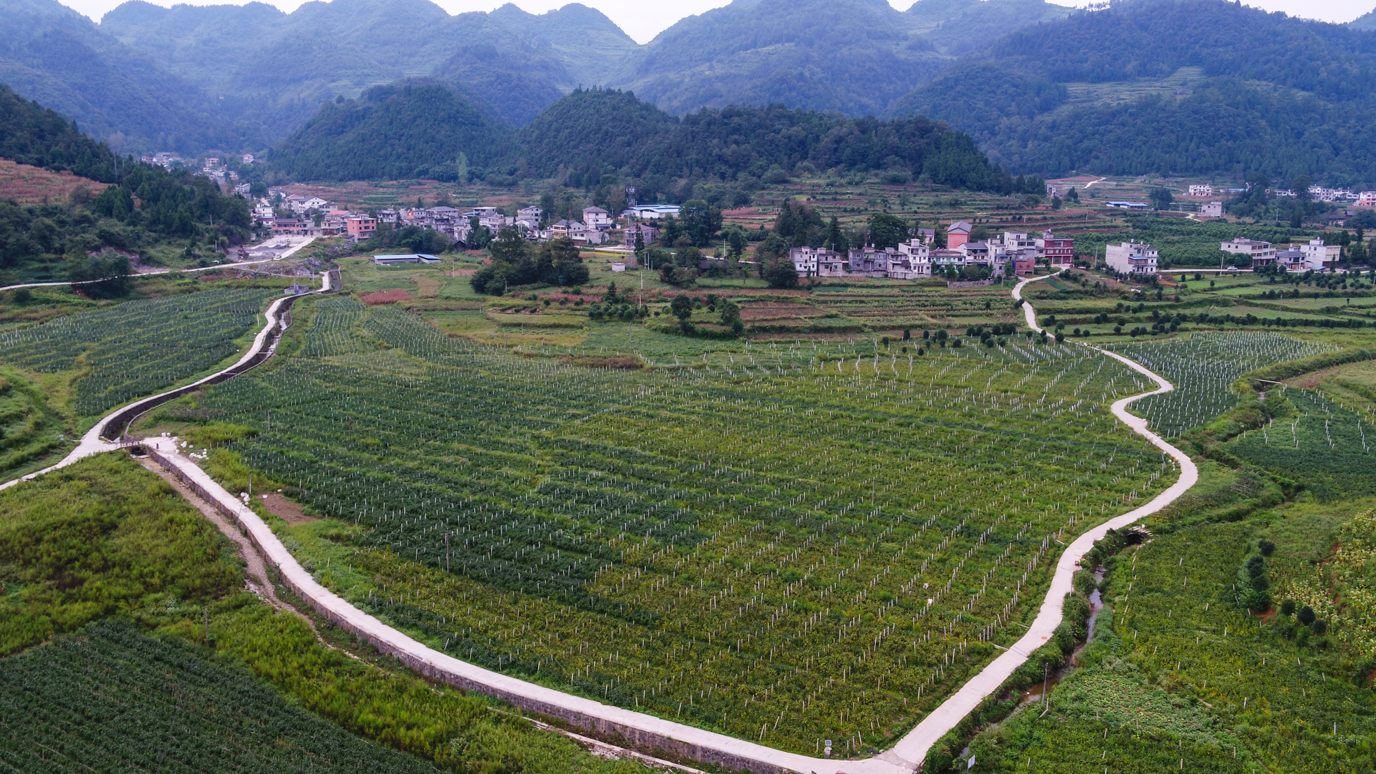 贵州务川首富图片