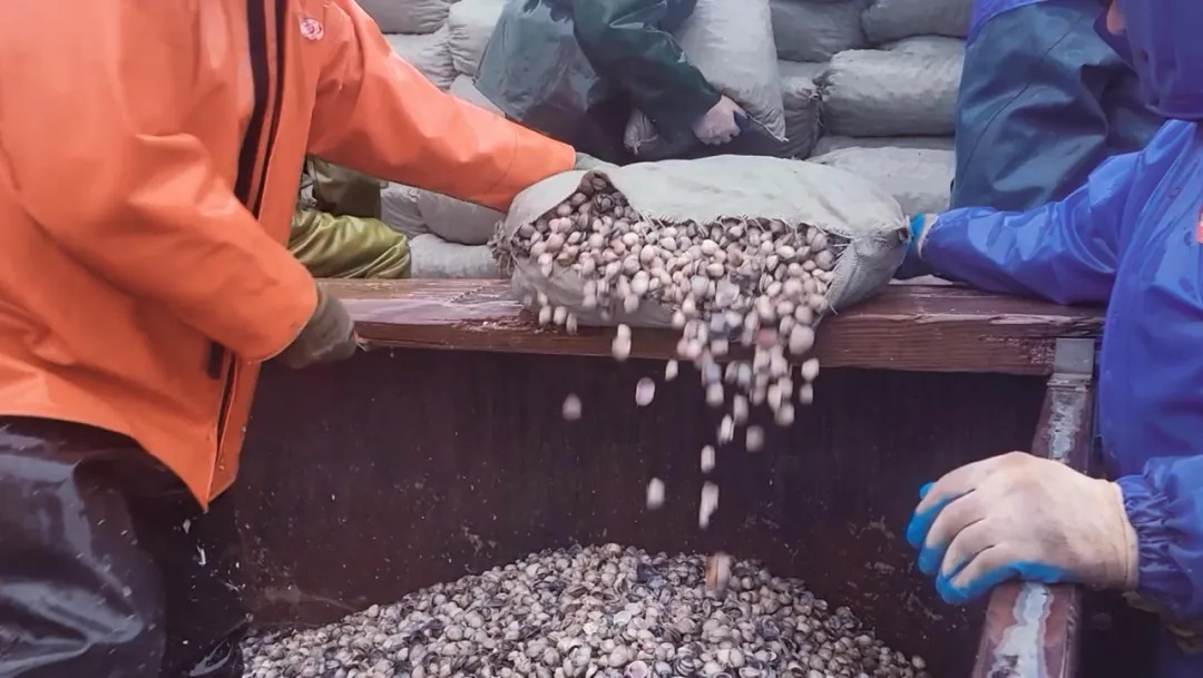 江苏启东：海上春耕“大片”KAIYUN网页 开云com