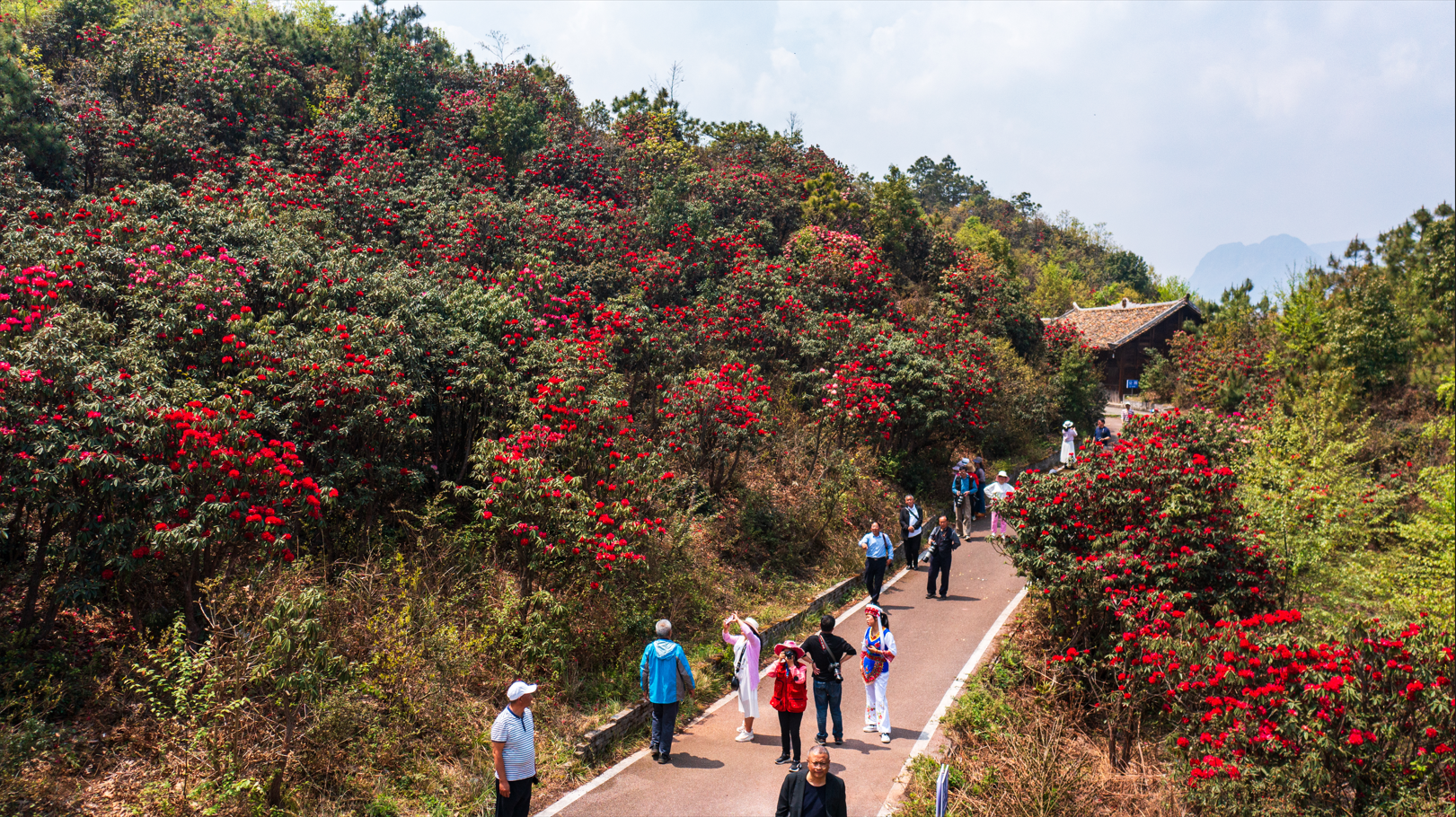 贵州水城宜人春色引客来