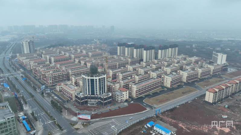 完美体育湖南衡阳县：筑巢燕归来 用心用情服务“湘商回归”(图4)
