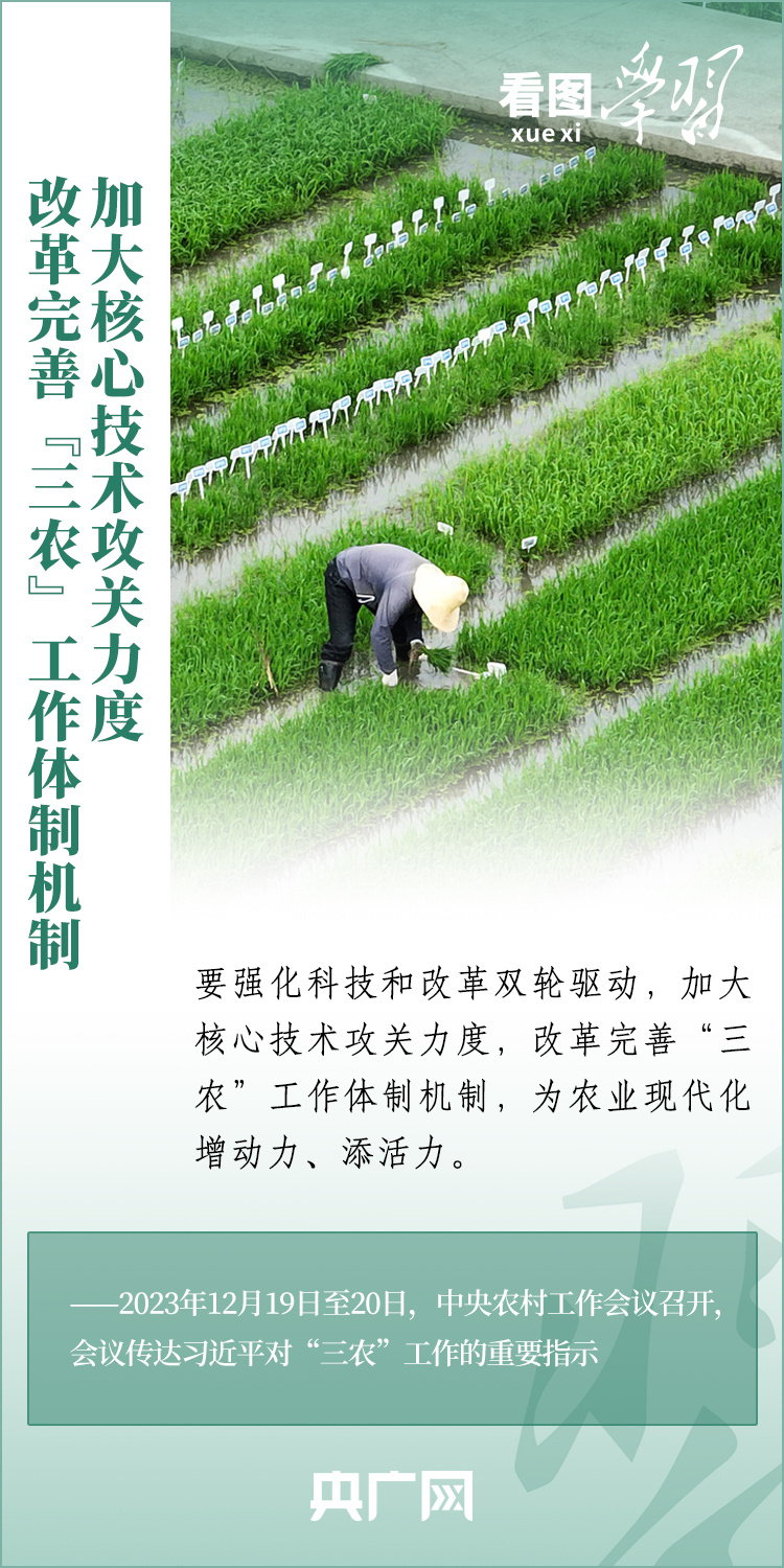 看图学习丨推广良田、良种、良法、良机 给农业现代化插上科技的翅膀