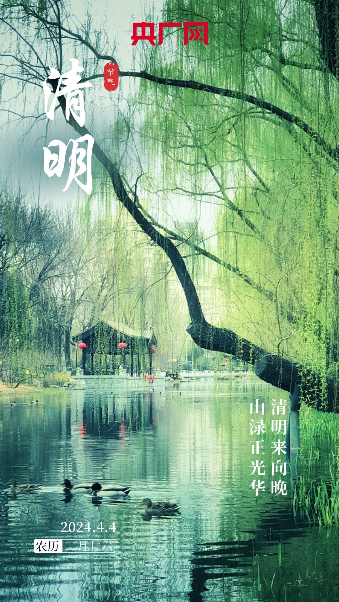 【节气之美·清明】清明时节雨纷纷  重庆春意更显浓