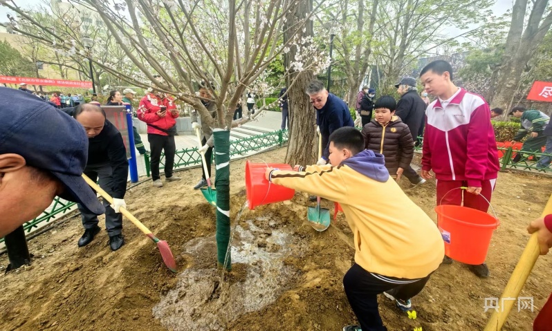 北京西城区开展首都全民义务植树日活动