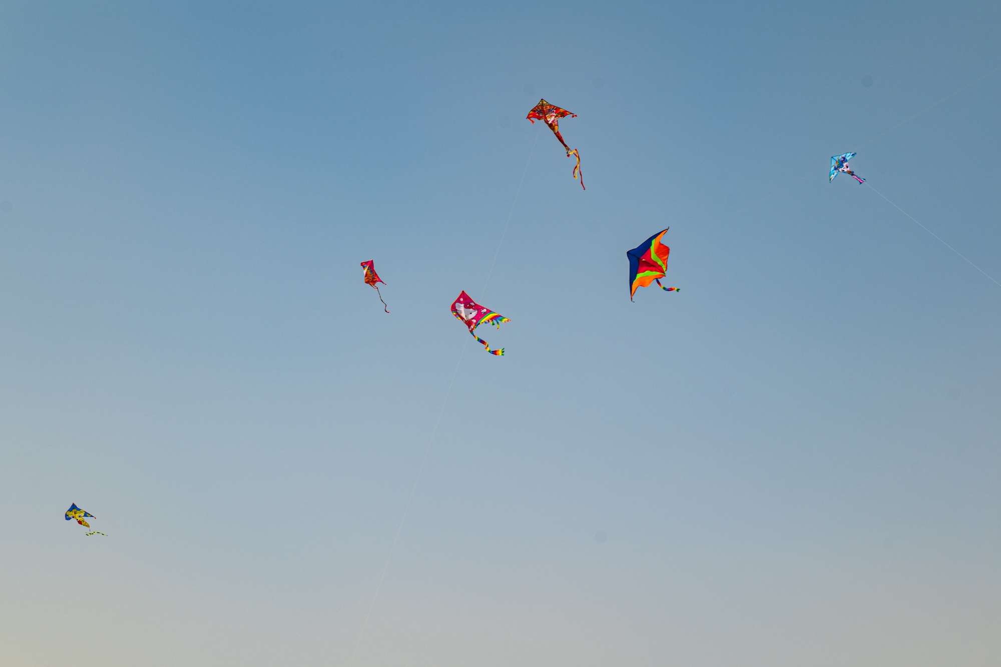 "筝"奇斗艳不负春光 若羌县风筝比赛火热开赛