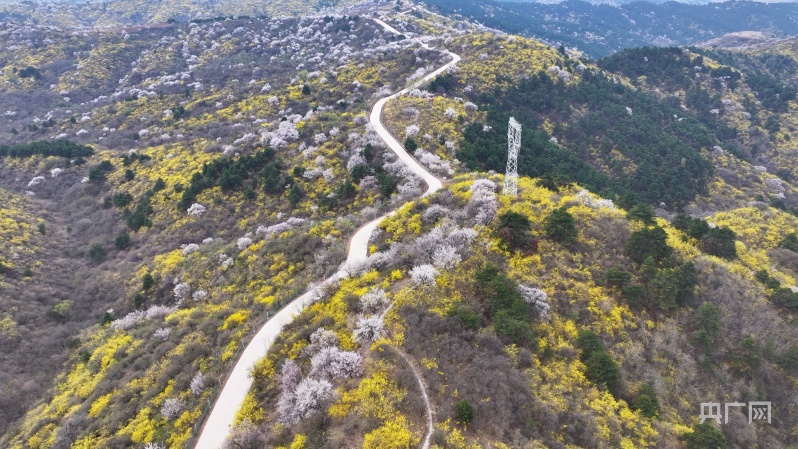 安泽黄花岭风景区图片