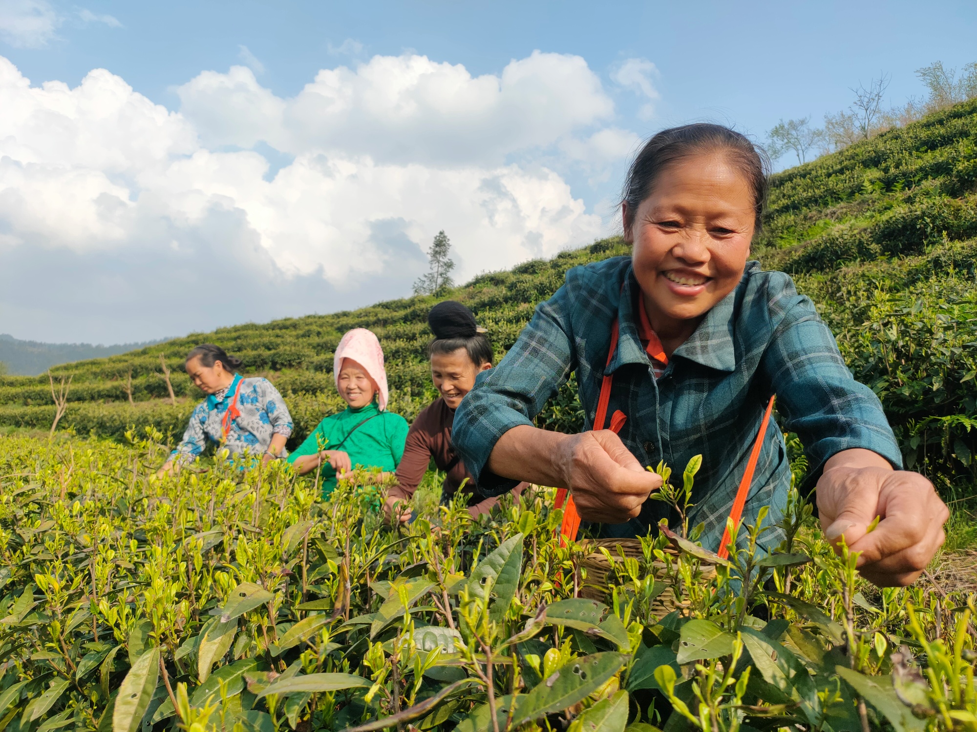 另一方面,杨昌生是九摆村为数不多的90年代末大学生,研究生毕业后放弃