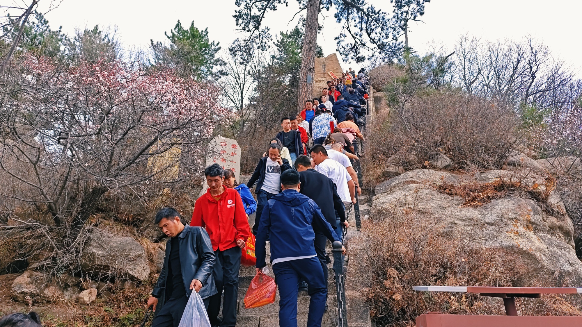 山西方山网页设计_(山西方山生态旅游示范区)