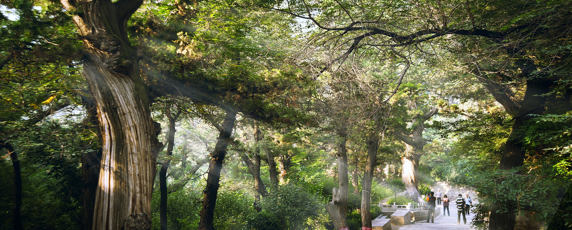 春游踏青好时节 交城卦山等你来