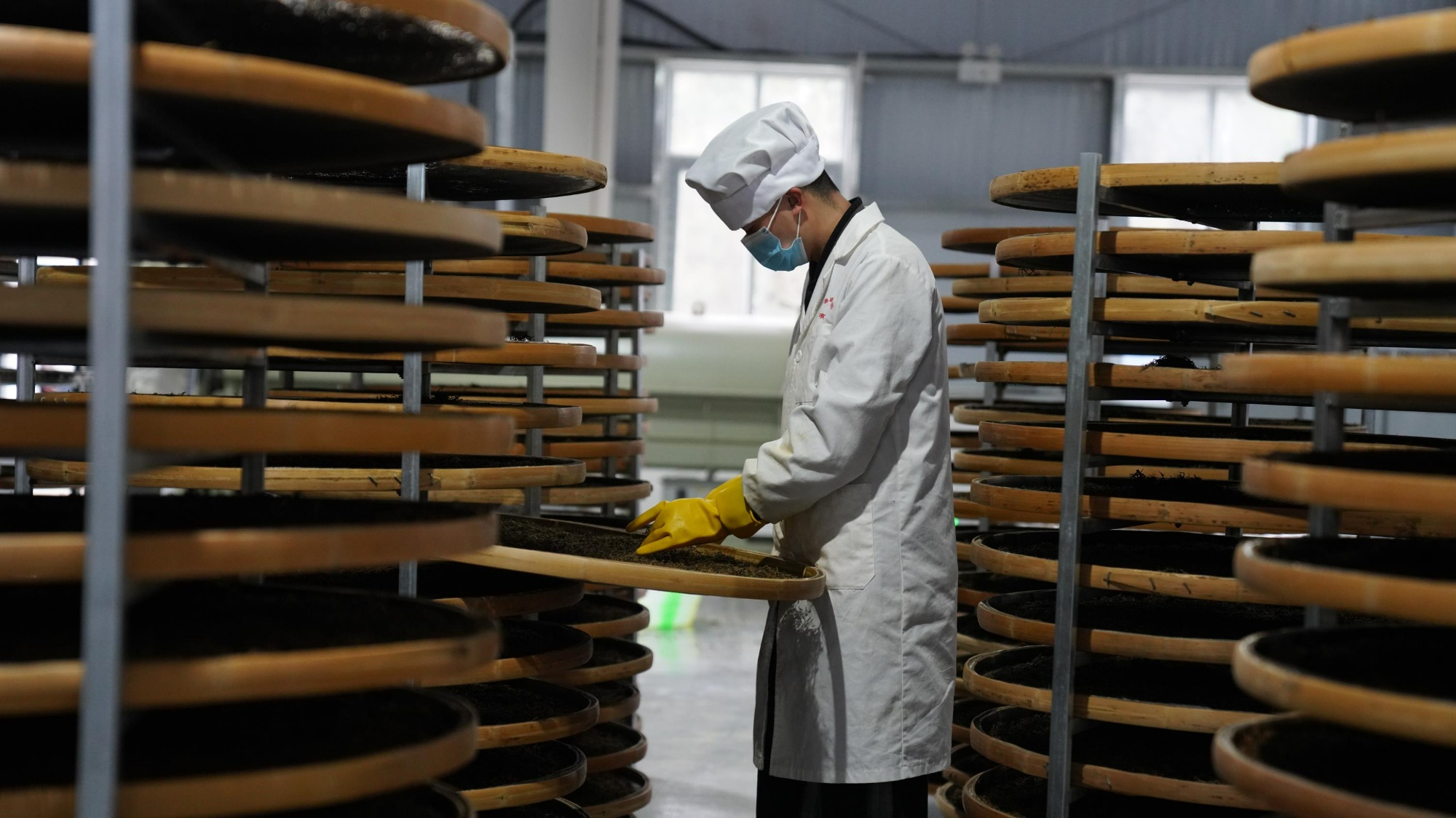 贵州务川:做足"一片叶子"的文章