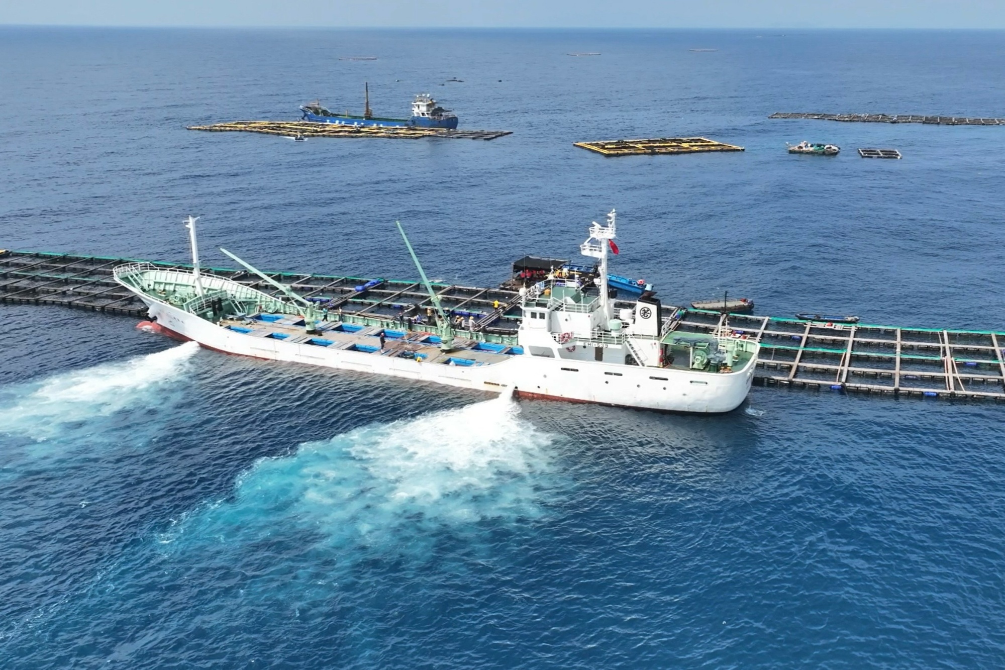 海南首艘出口鱼苗船正式起航前往日本
