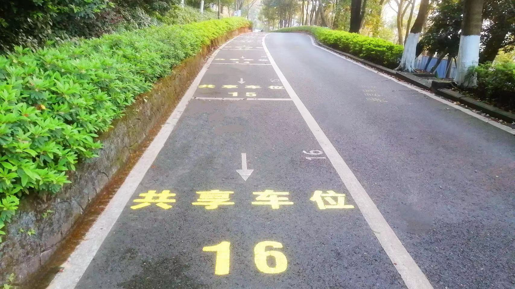 沙坪坝区错时共享停车位受市民好评_央广网