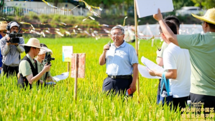 助力提升粮食单产和品质，隆平高科八大水稻新品系发布