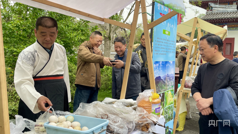南川：古树茶产业化助力乡村振兴