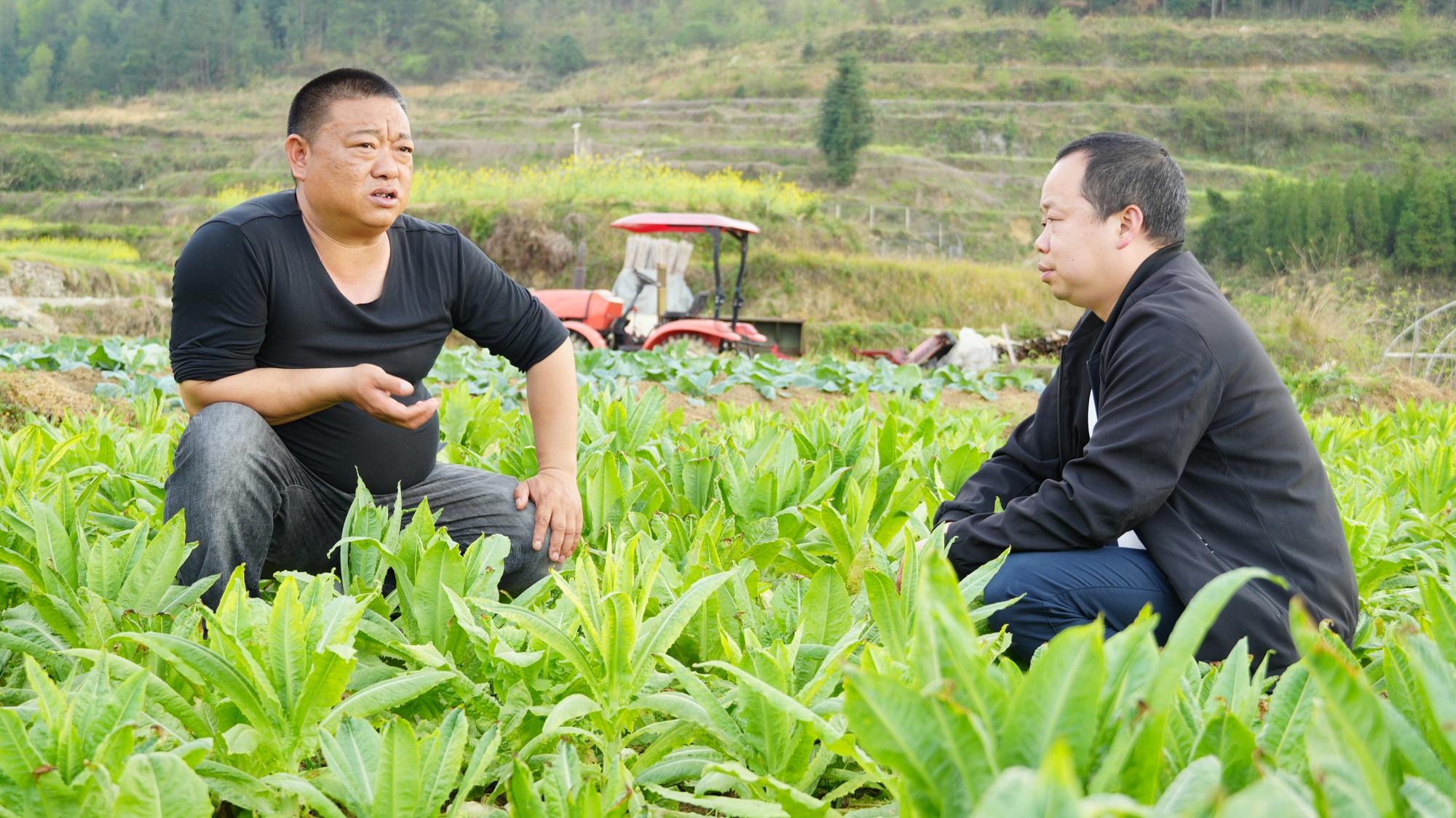 贵州思南：因村施策发展绿色经济