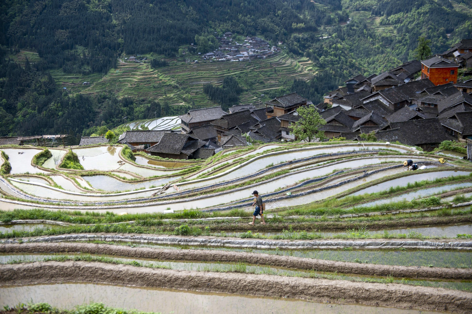 贵州从江:梯田"春耕图"引客来