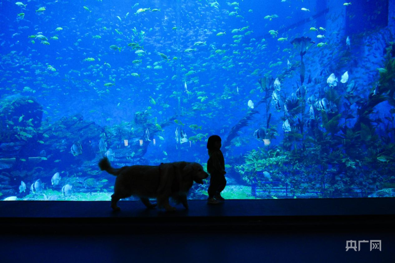 郑州海昌海洋旅游度假区举办首期海陆萌宠见面会活动