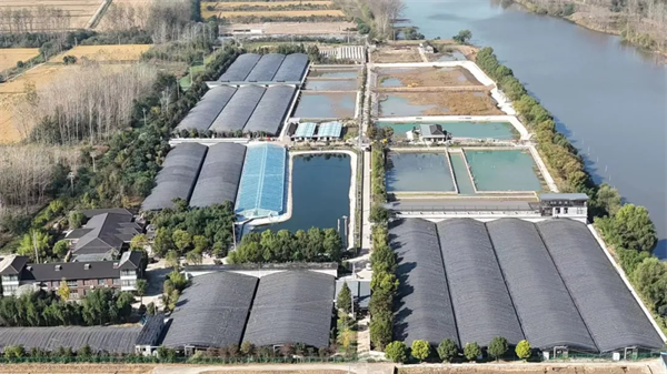扬州广陵：甲鱼生态养殖 增收致富