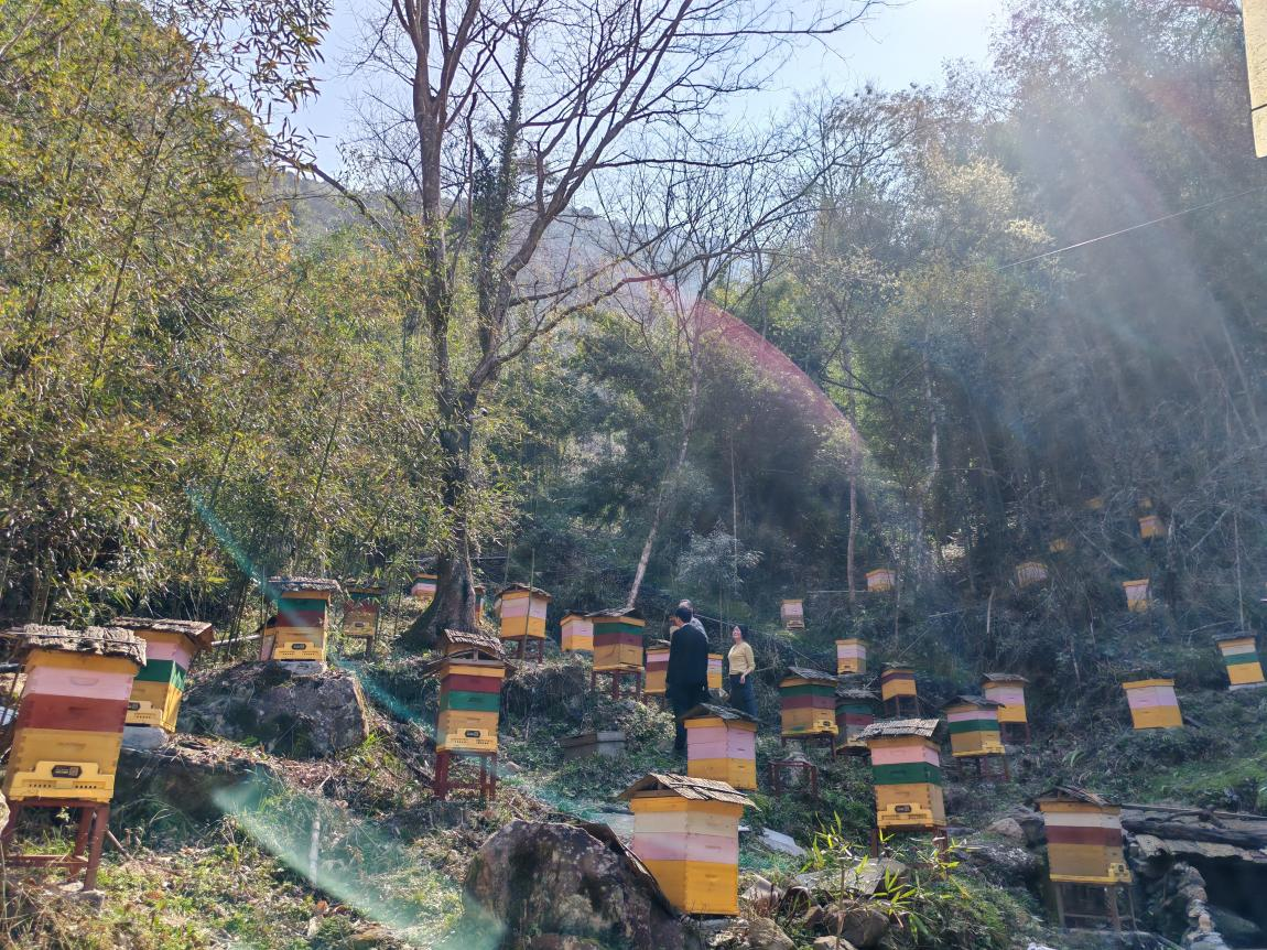 城步蜂蜜入选全国名特优新农产品名录
