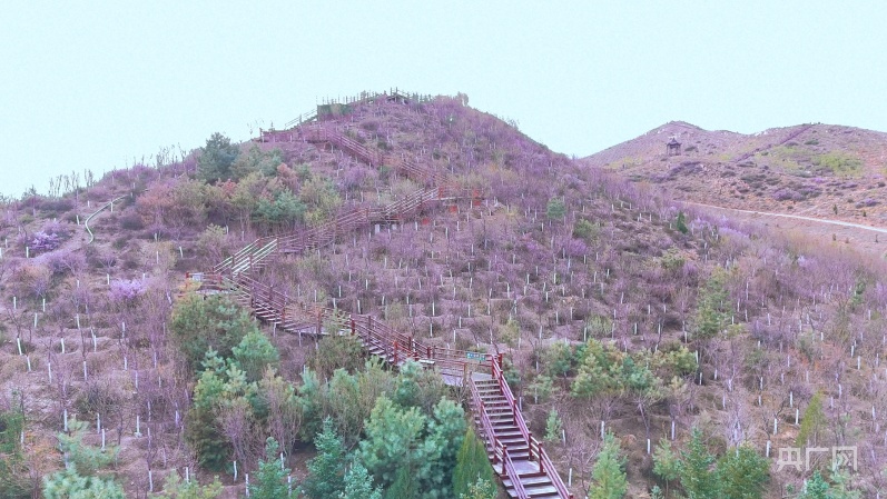 现在,这里变成了西北内陆地区水体生态良好的国家级湿地公园.