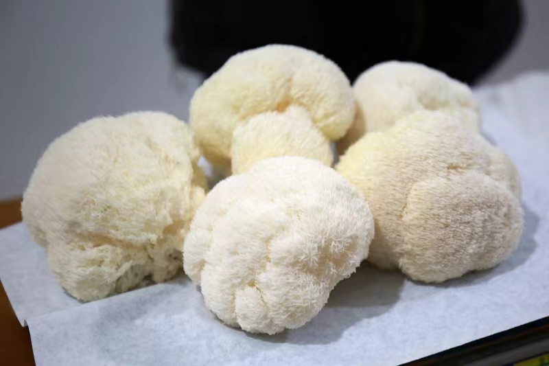 青岛城阳区“洞藏雪猴头菇”入选农业农村部特质农品名录