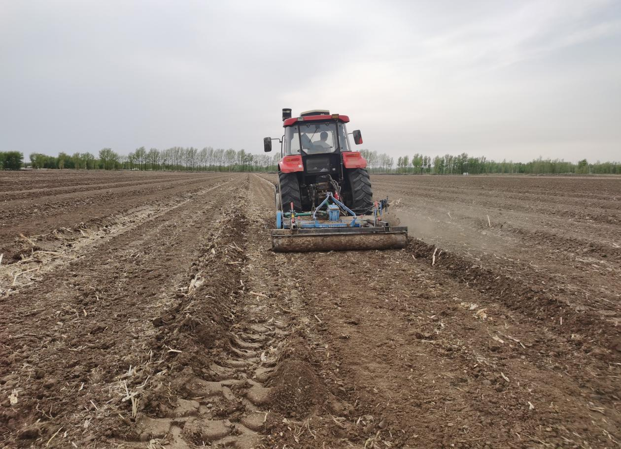 达到1:8,其中播种机有14000余套,液压翻转犁3000余套,驱动耙和旋耕机