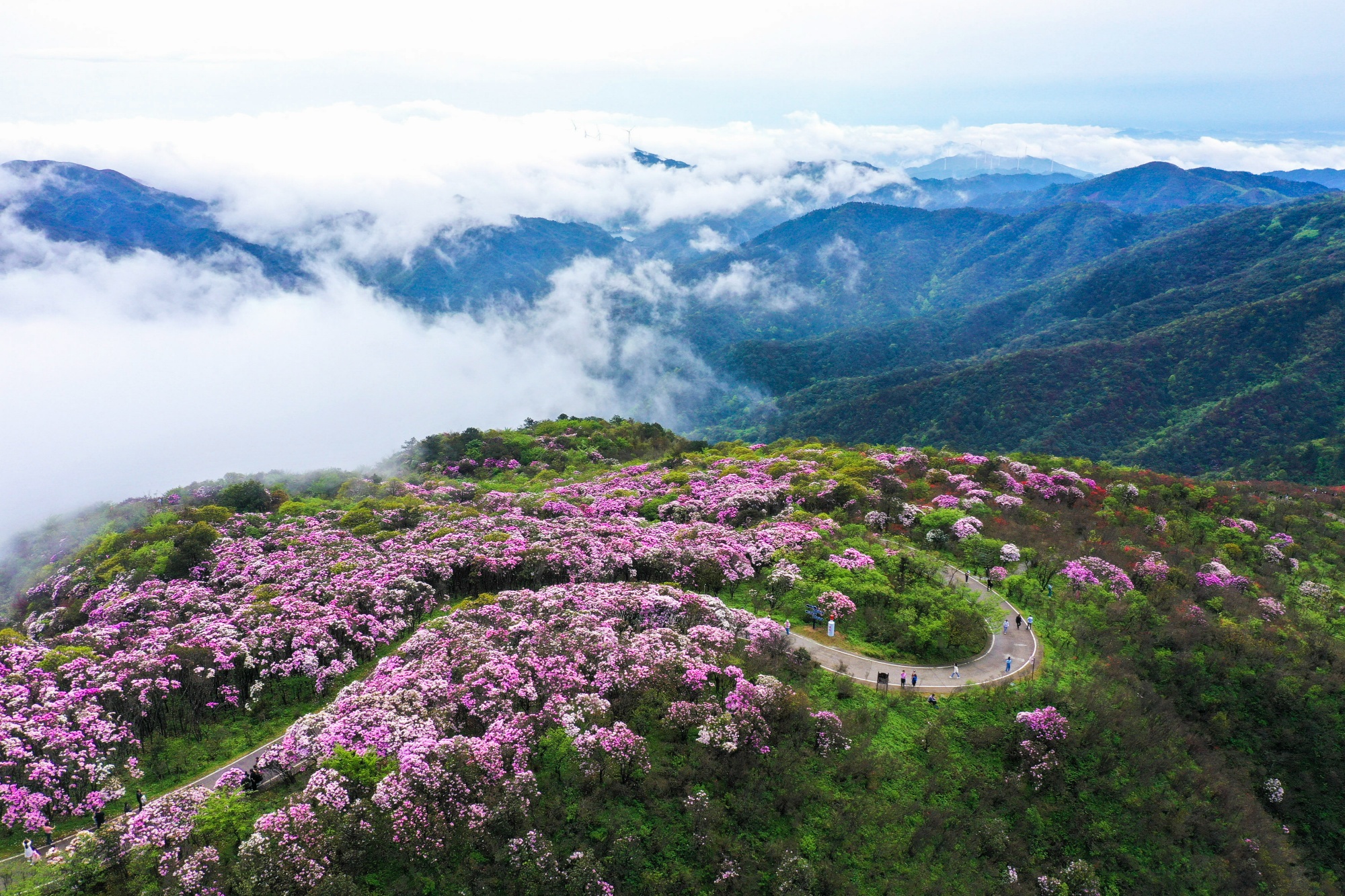 壁纸 风景 2000_1333