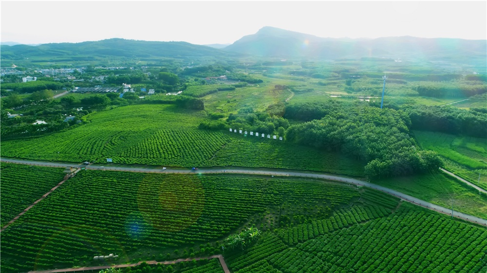 绿色旅游  绘就海南热带天堂美丽画卷