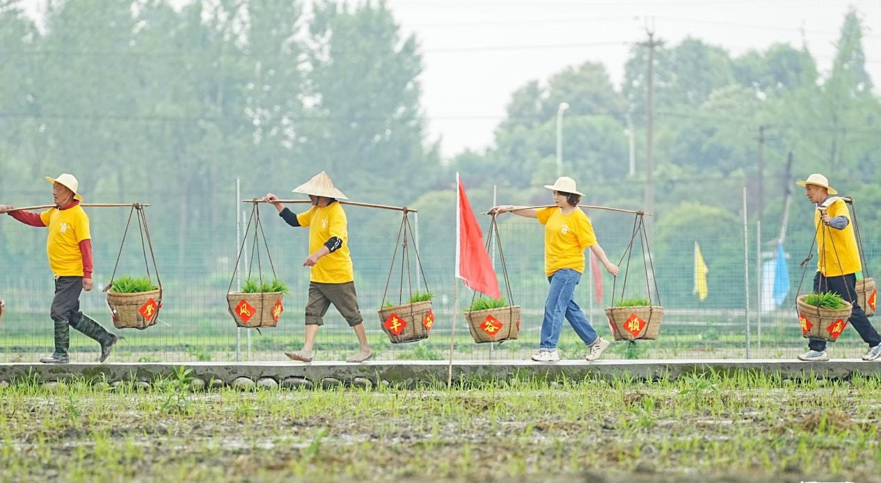 农耕文化节在温江开幕_央广网