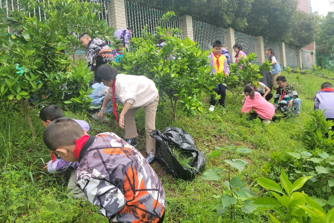 周教育活动,举行主题班会,办"五一"劳动节手抄报,提高学生劳动技能