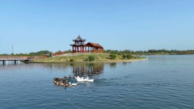 绘就阿图什城市生态美丽画卷_央广网