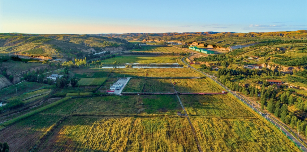 准格尔旗首秀世界品牌大会