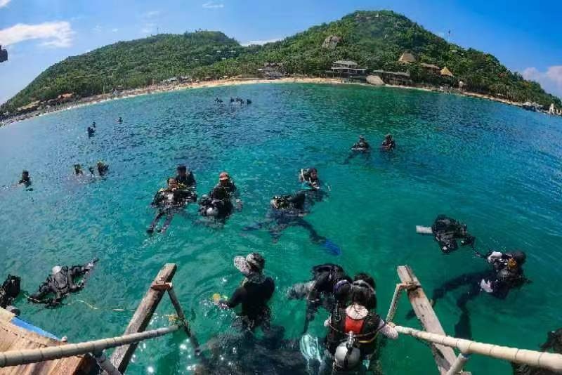 分界洲岛潜水主题系列活动正式发布