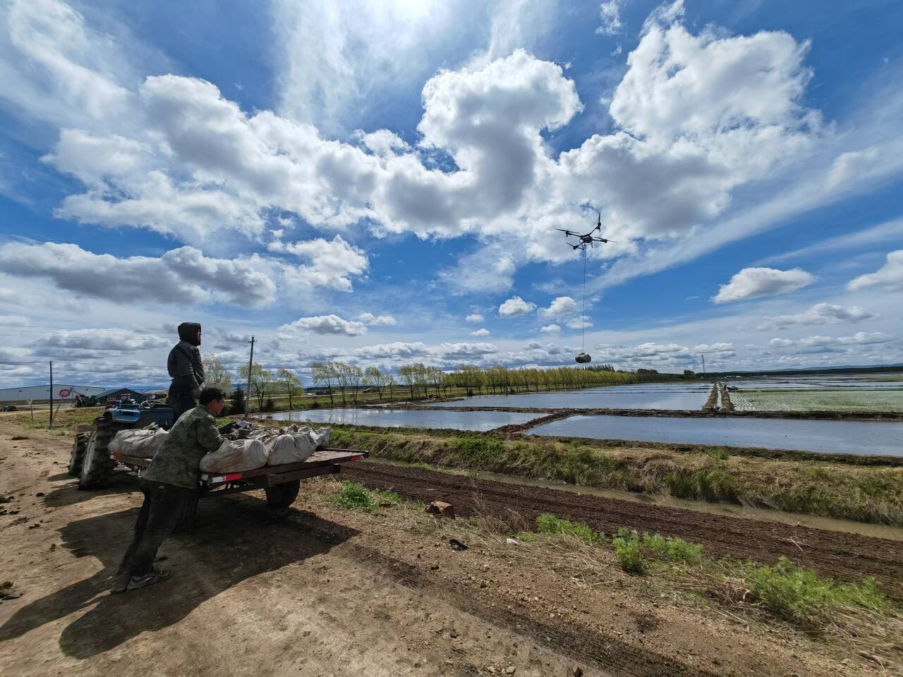 北大荒农业股份八五九分公司精准“空投”秧苗 智慧农业尽显“科技范”