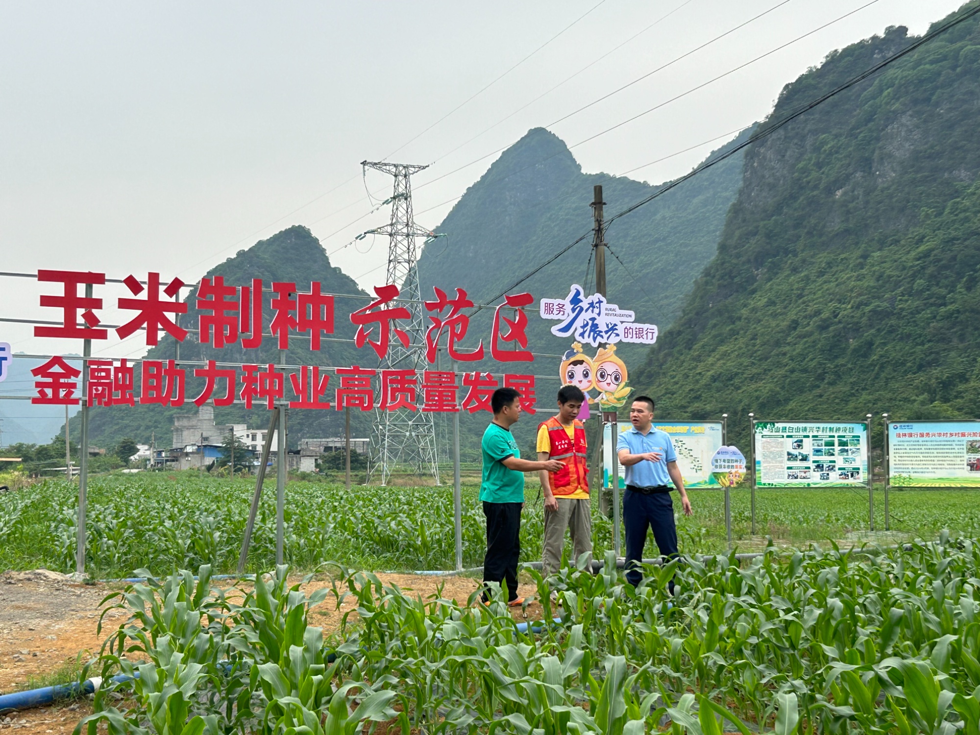 桂林银行：金融活水精准“浇灌”特色农业产业