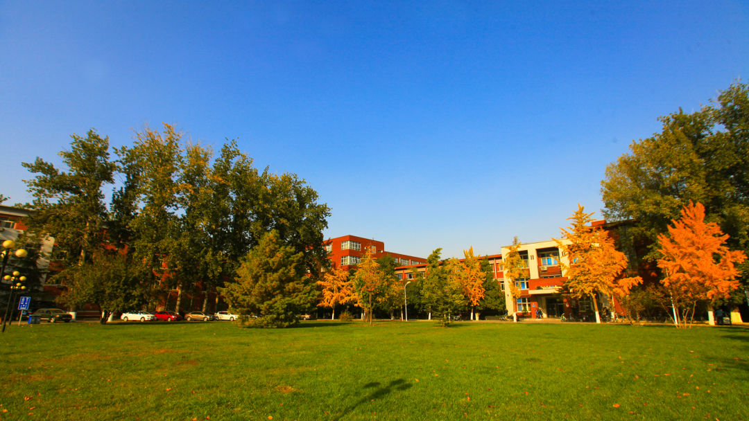 北京农学院校花图片